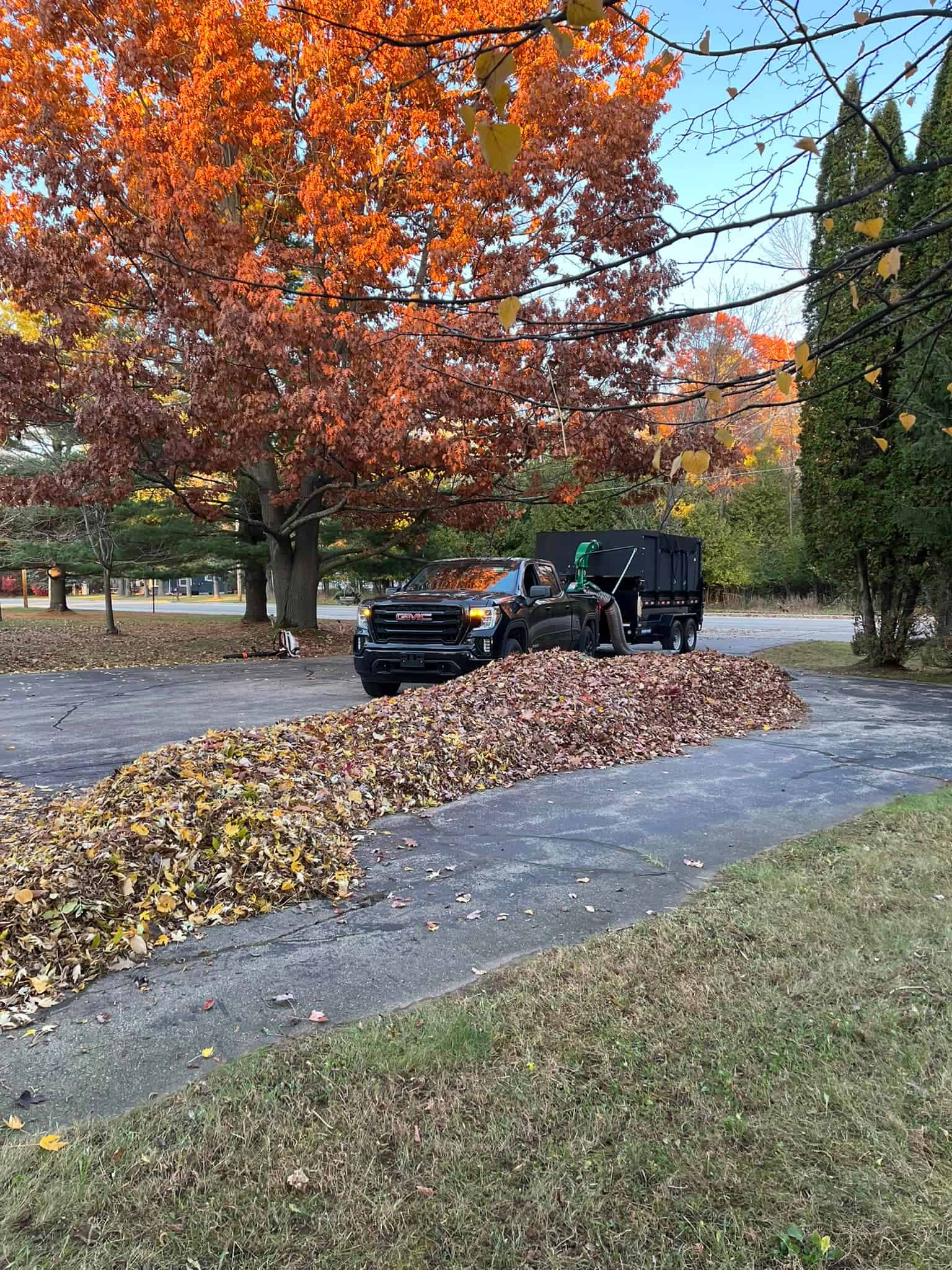 Seasonal Cleanups image