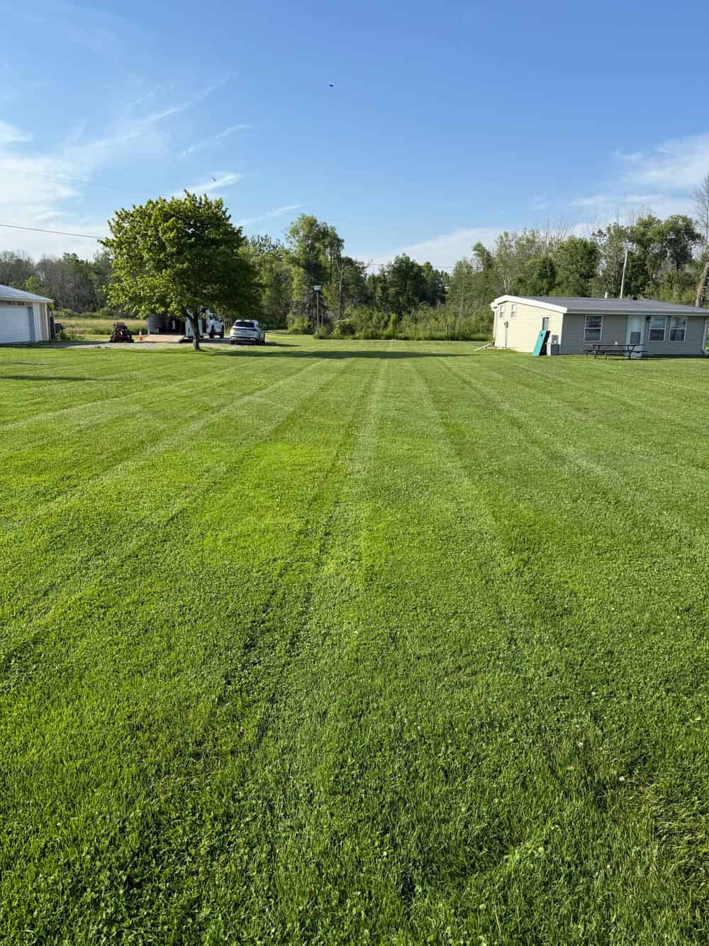 Commercial Lawn Maintenance image