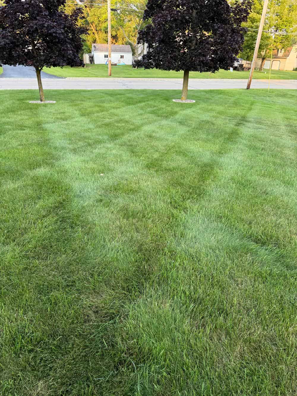 Lawn Installation image