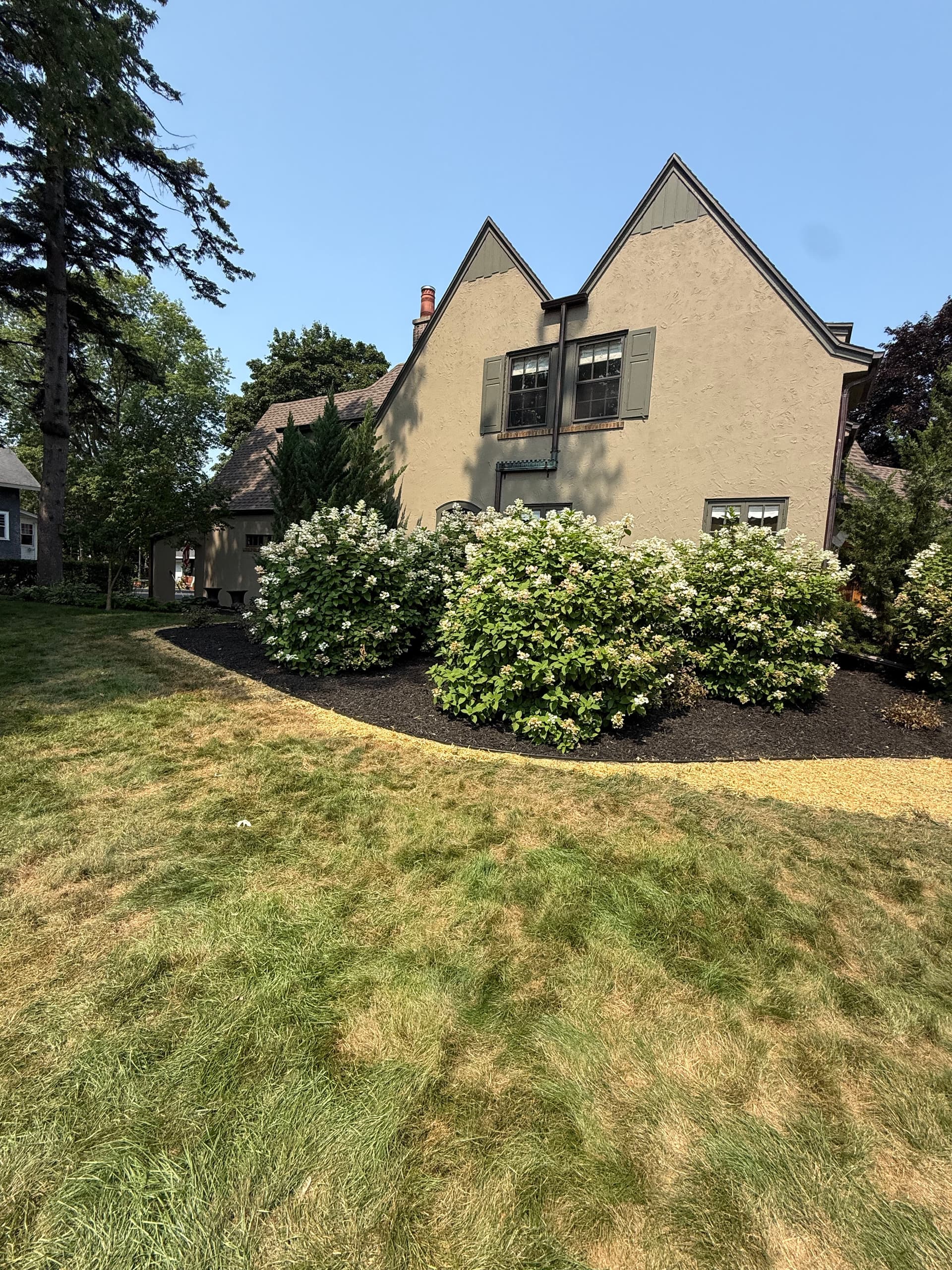 Full Property Softscape Overhaul on a Neighborhood Landmark Home image