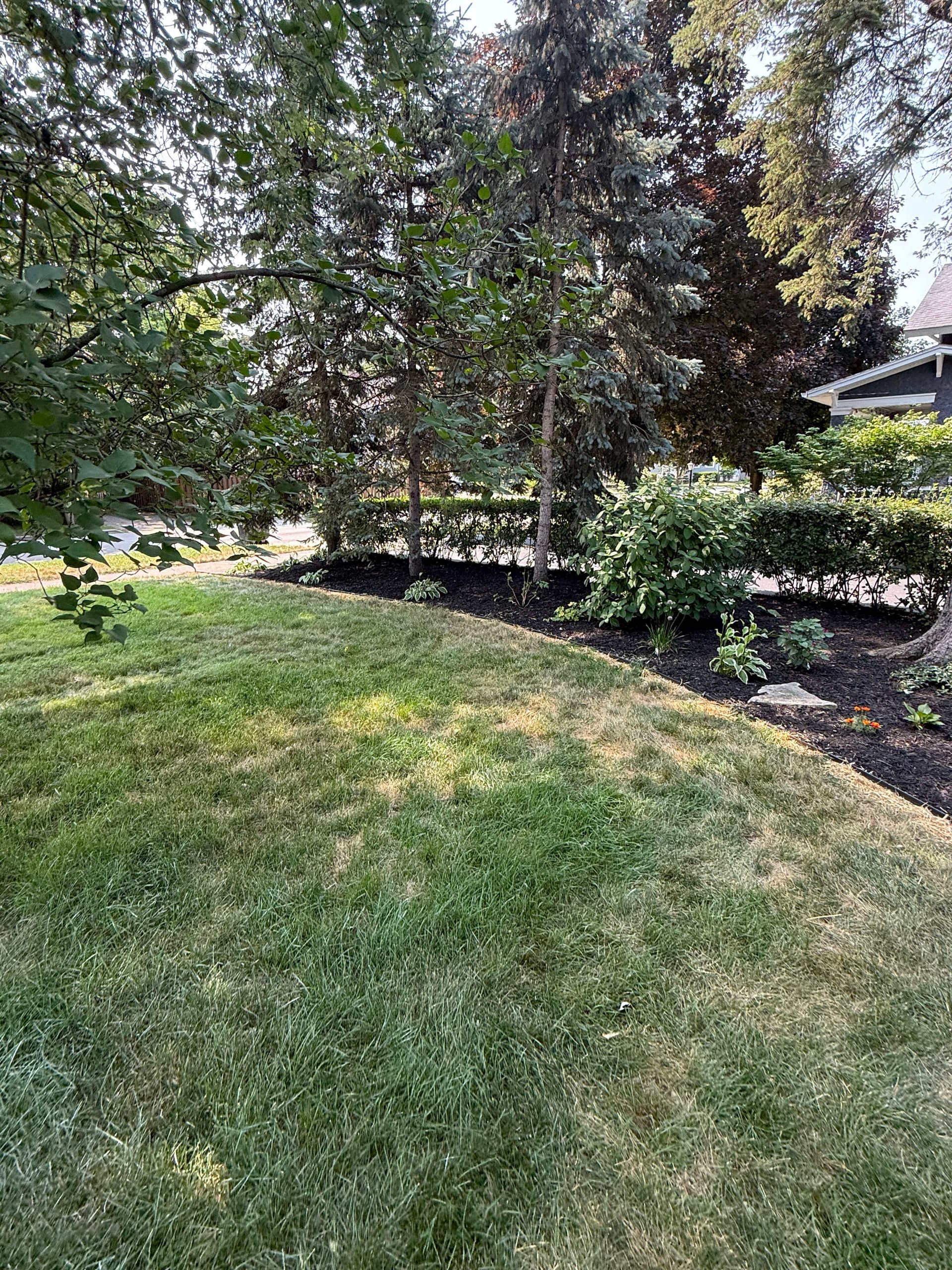 Gallery photos for Full Property Softscape Overhaul on a Neighborhood Landmark Home: Image #3