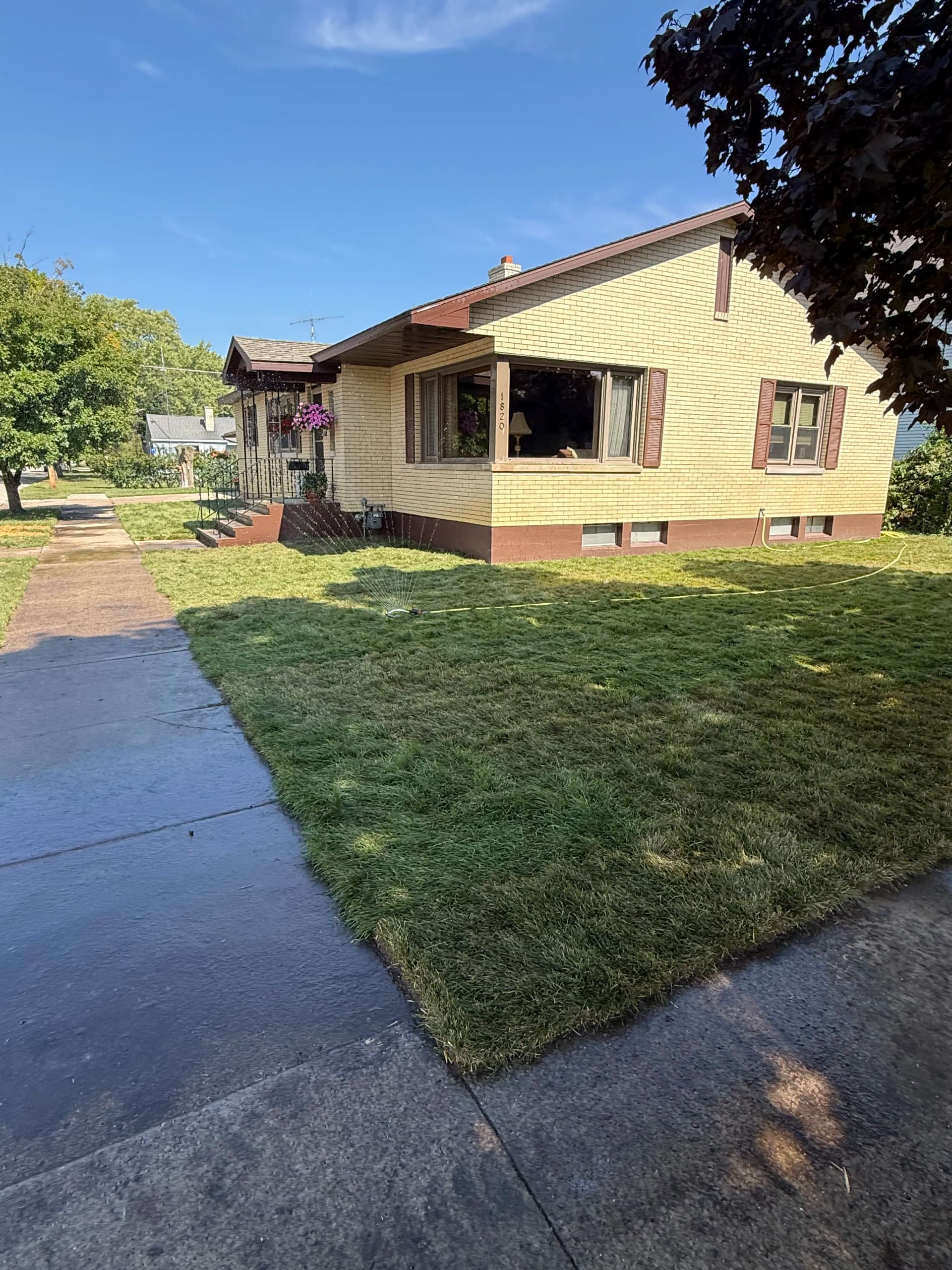 Gallery photos for Fresh Sod Install Gives This Front Yard a Clean New Look: Image #1