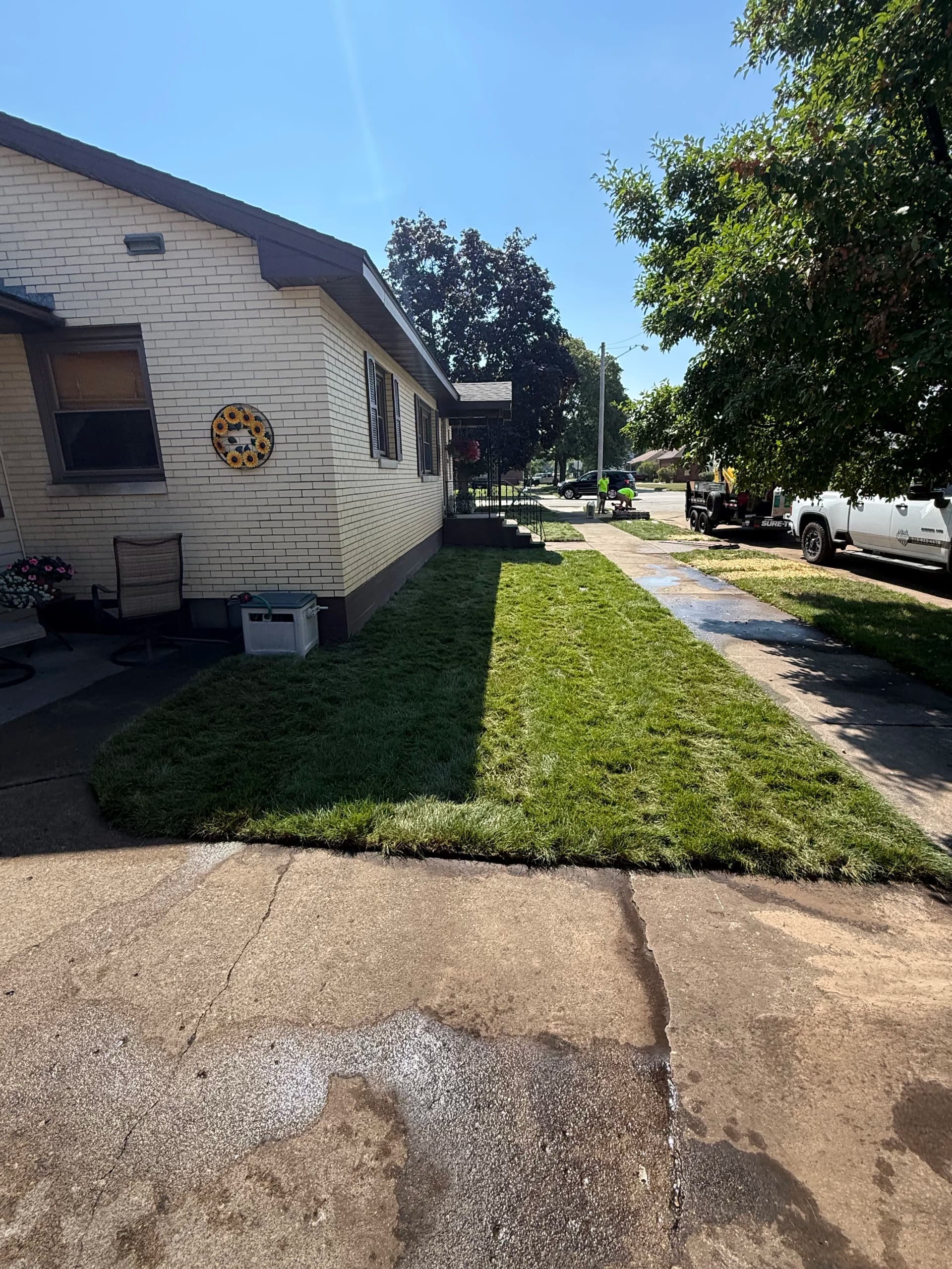Gallery photos for Fresh Sod Install Gives This Front Yard a Clean New Look: Image #3