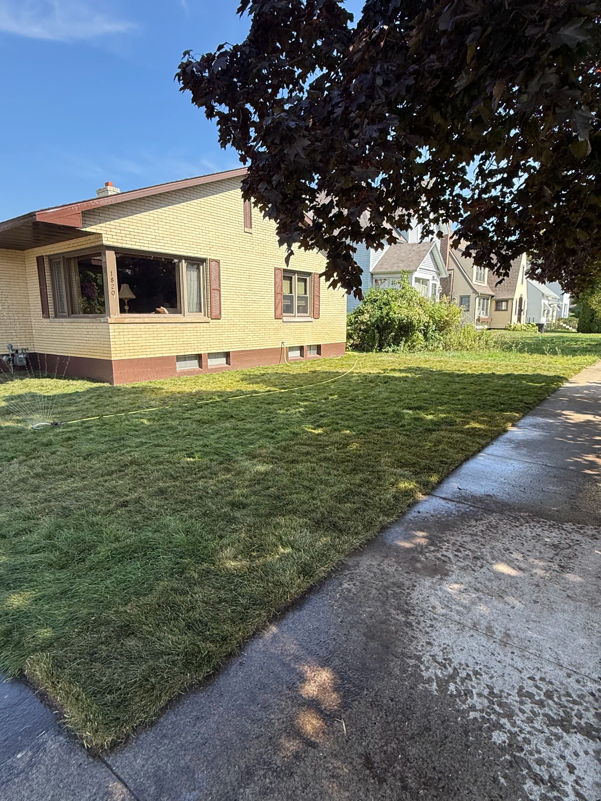 Gallery photos for Fresh Sod Install Gives This Front Yard a Clean New Look: Image #2