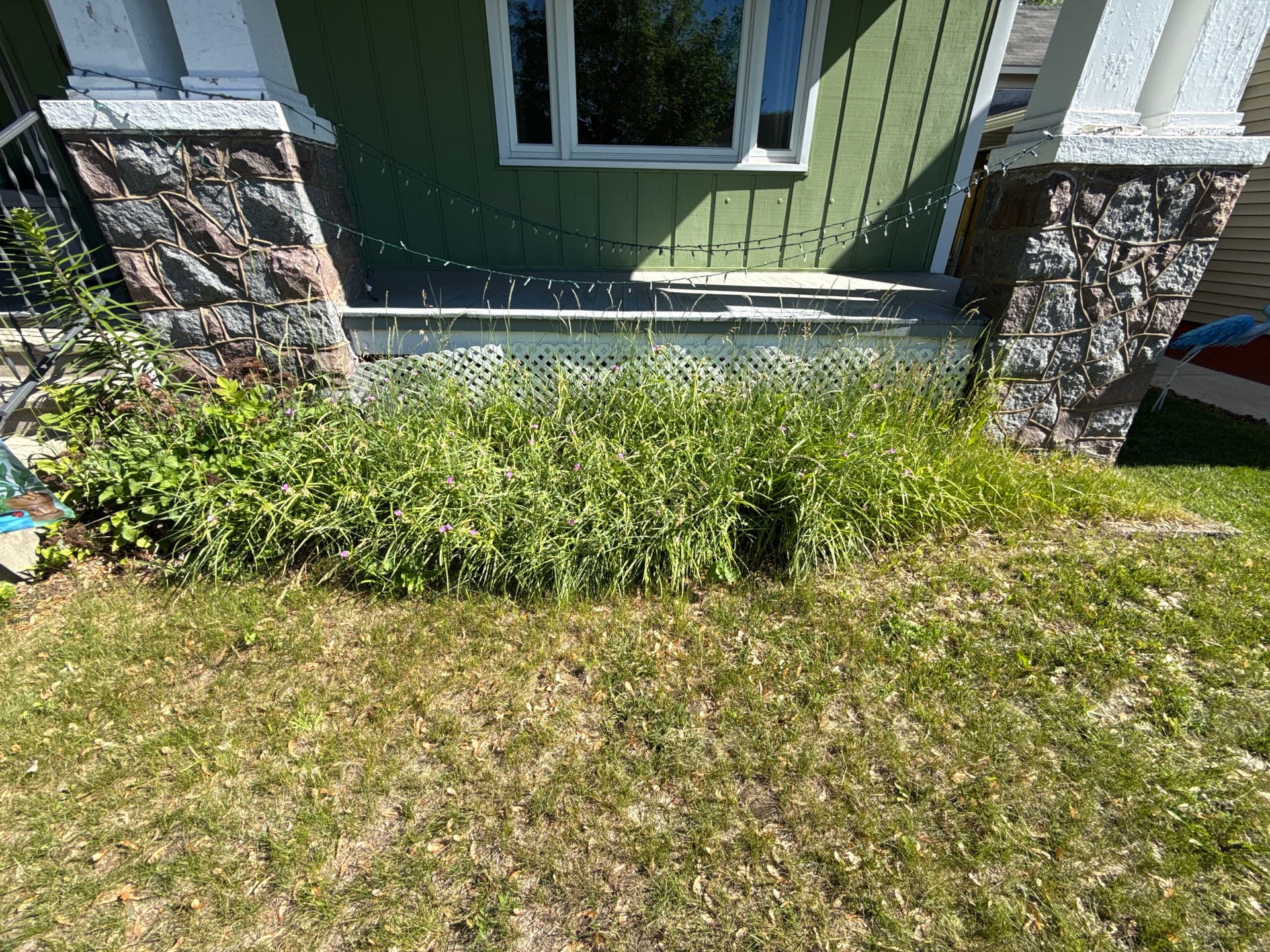 Gallery photos for Overgrown Front Bed Cleared and Rebuilt from Scratch: Image #1