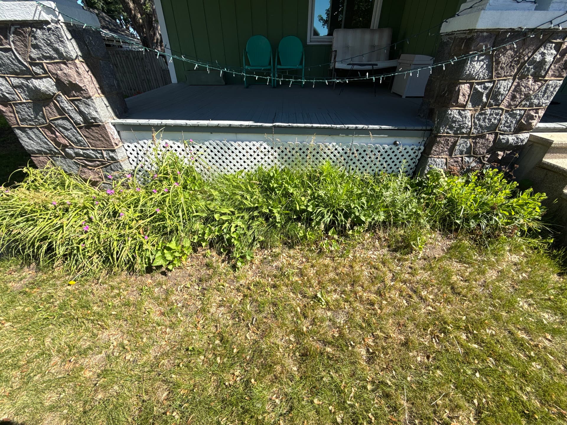 Overgrown Front Bed Cleared and Rebuilt from Scratch image
